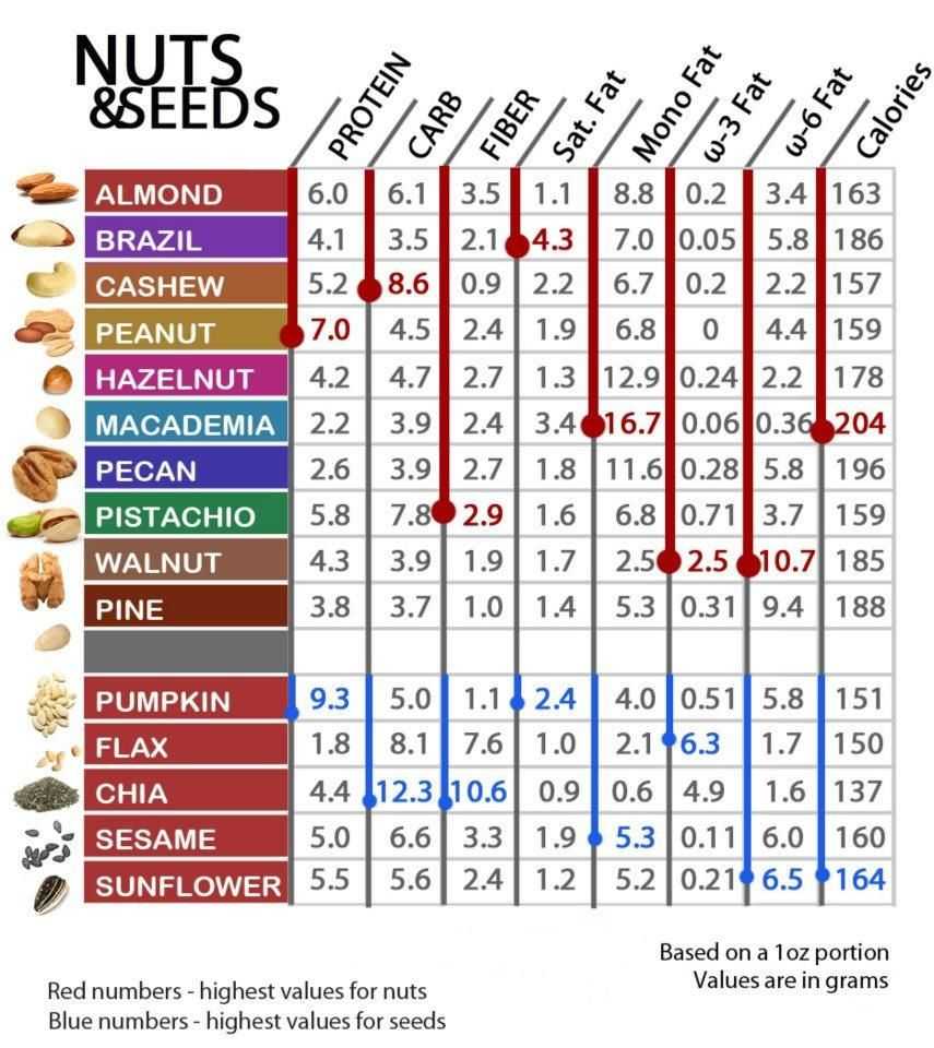 Nuts & Seeds Nutrition